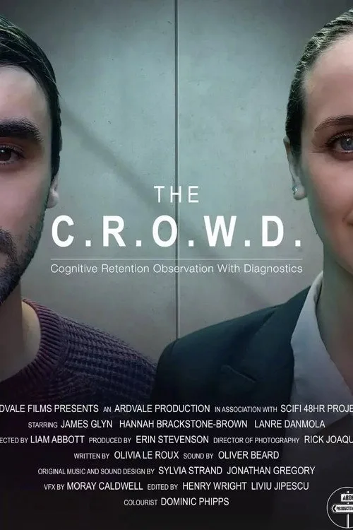 The Crowd